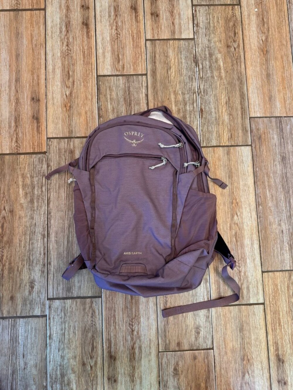 Osprey Axis Earth Backpack 24L